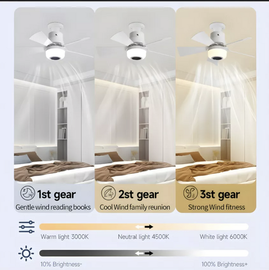 OSMOS E27 Ceiling Fan with Light